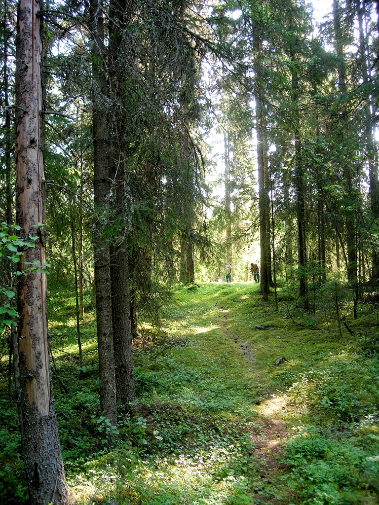 Fäbodstigen